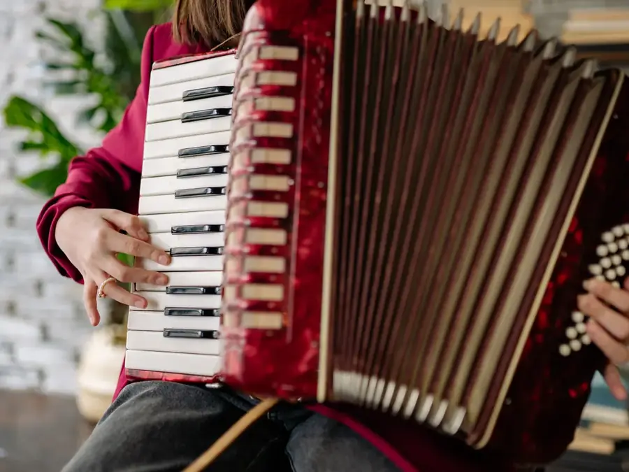 Accordéoniste, orgue de barbarie et guinguette