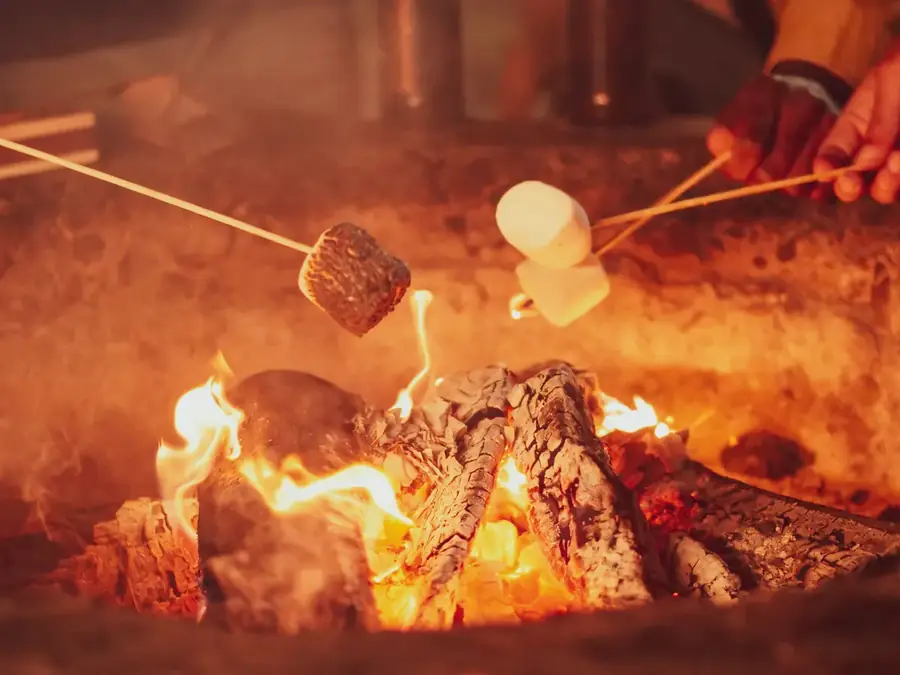 Bar à s'mores : guimauves grillées