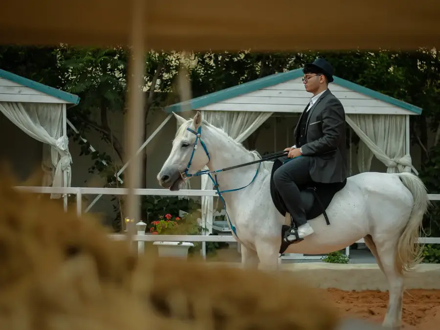 Animation cheval