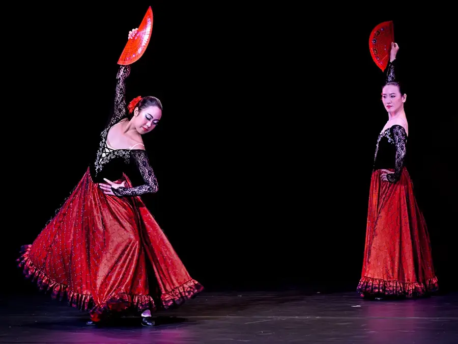 Danses du monde : flamenco, tango, salsa et charleston