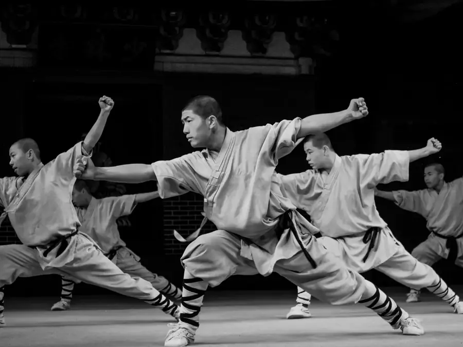 Démonstration d'arts martiaux asiatiques