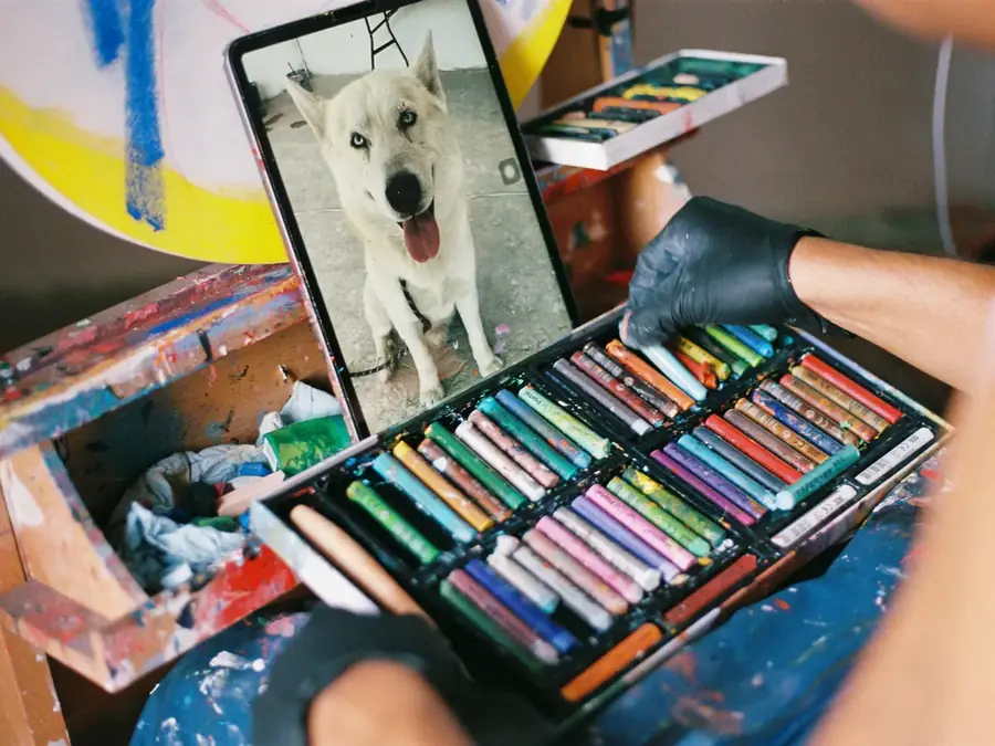 Animation événementielle "dessin sur photo"