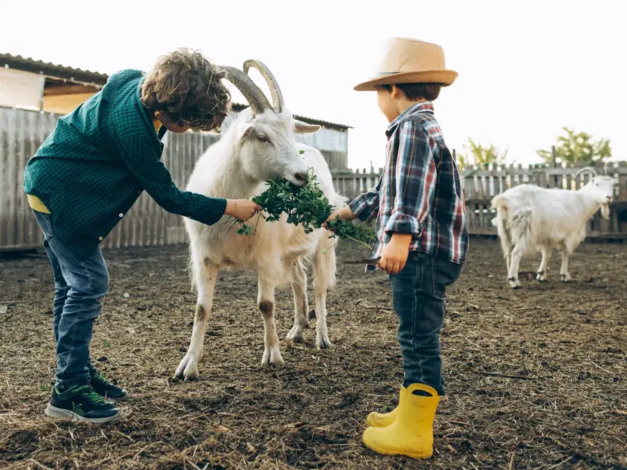 Ferme pédagogique itinérante et mini-ferme
