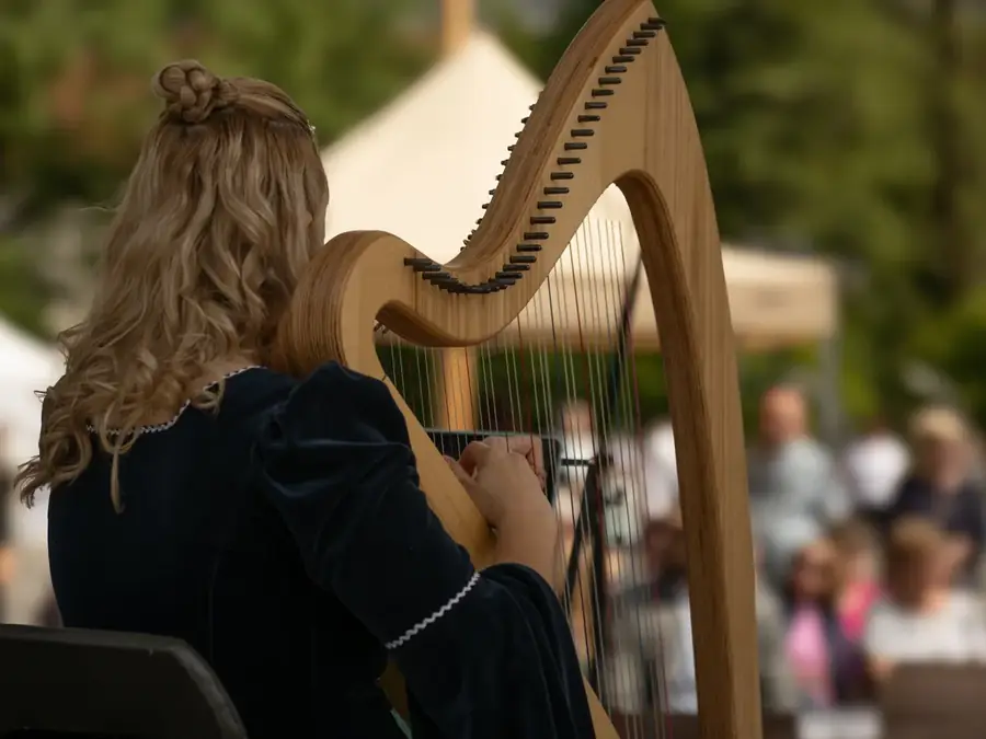Groupe de musique celtique et irlandaise