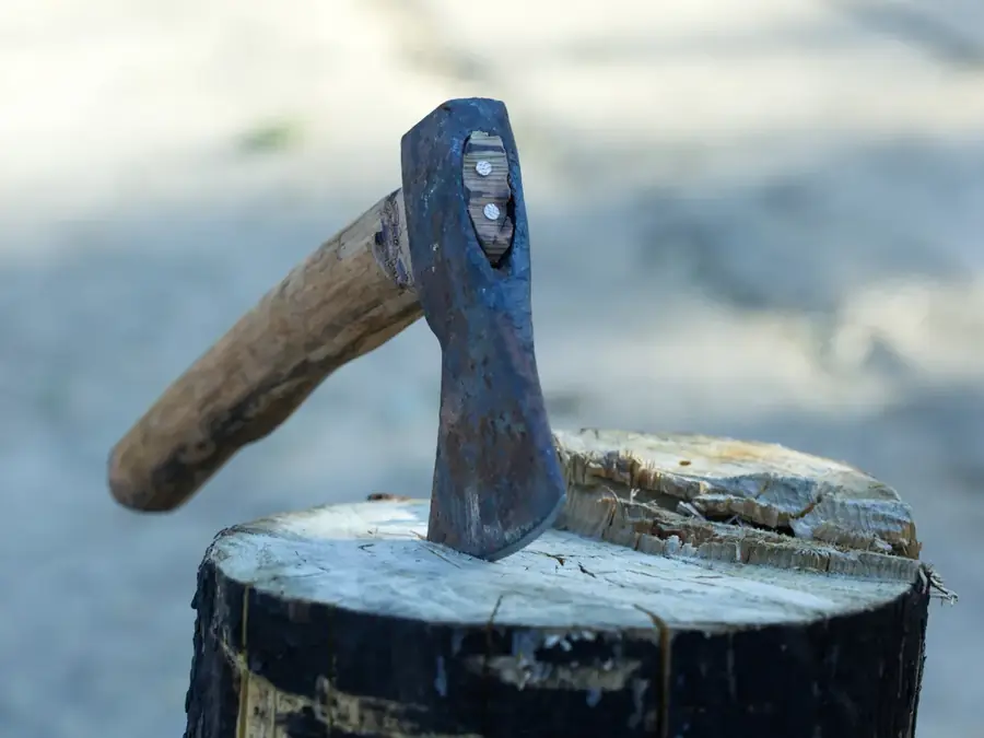 Lancer de hache : viser la cible en bois