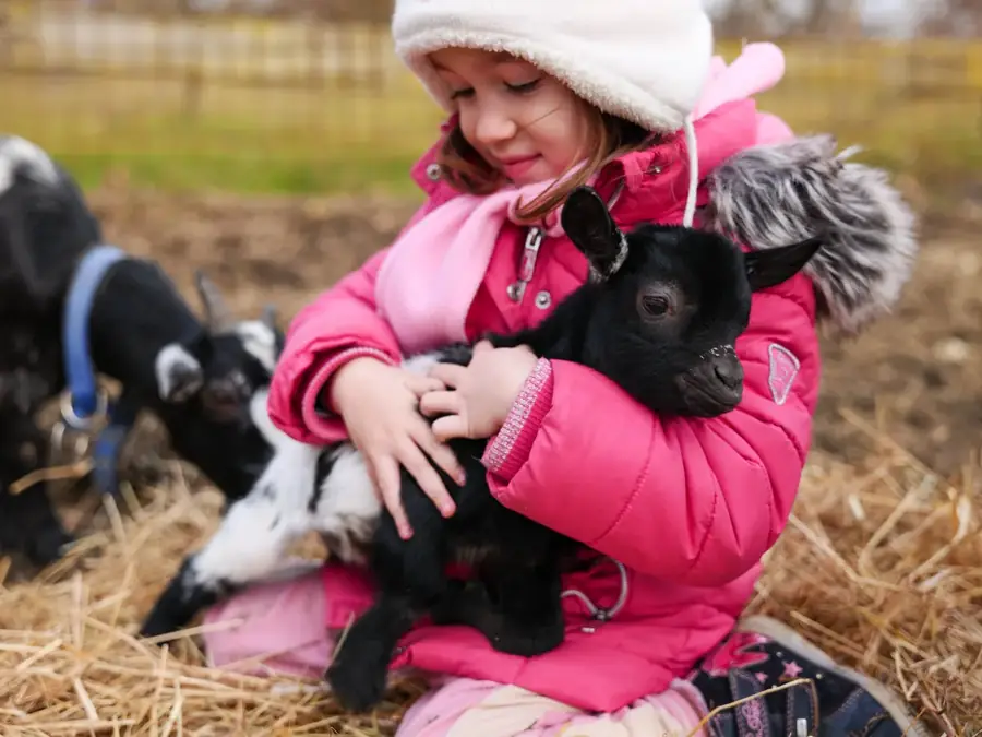 Mini-ferme et balades à poney