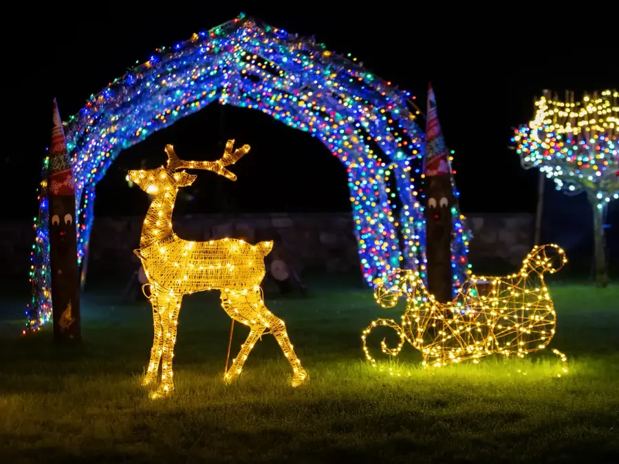 Rennes de noël