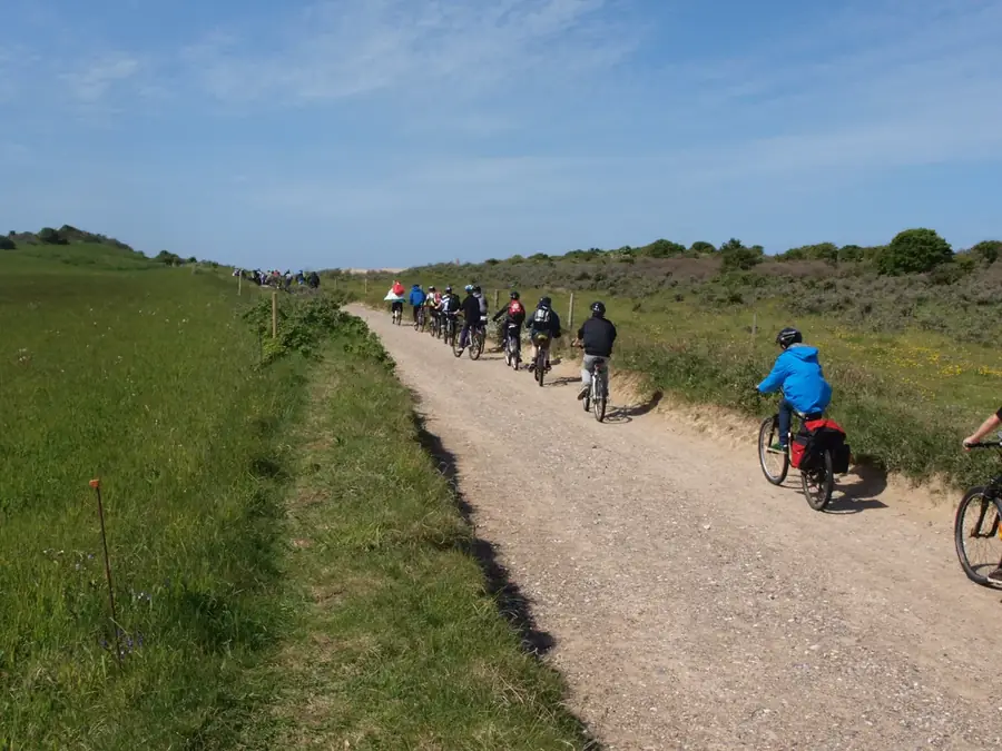 Team building sportif : vélo gravel, aviron et stage de survie