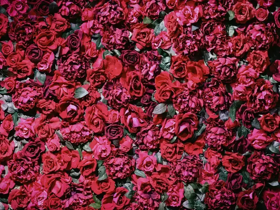 Mur de fleurs en location