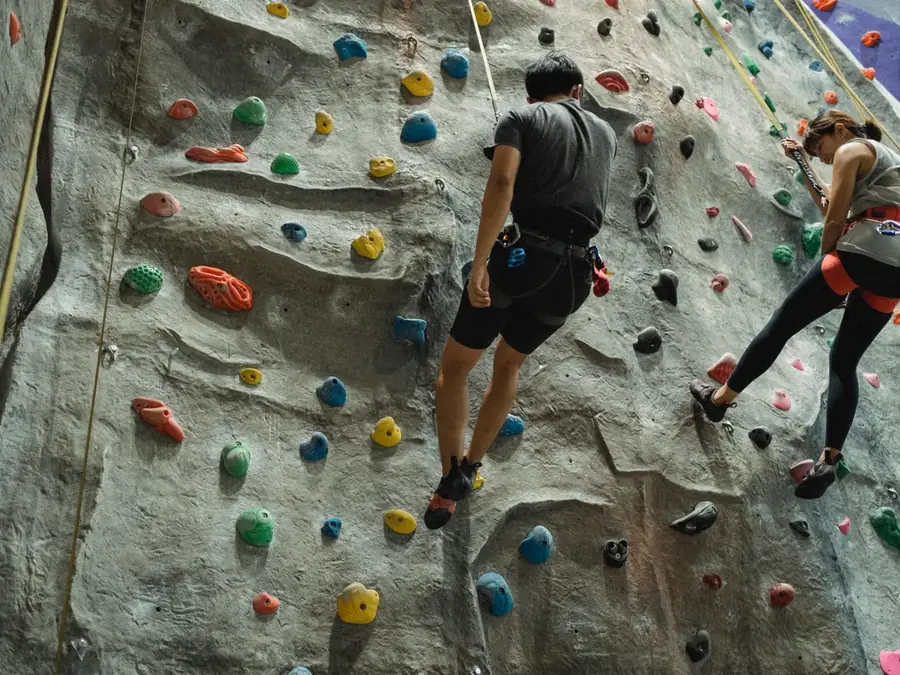 Location mur d'escalade (3 couloirs)