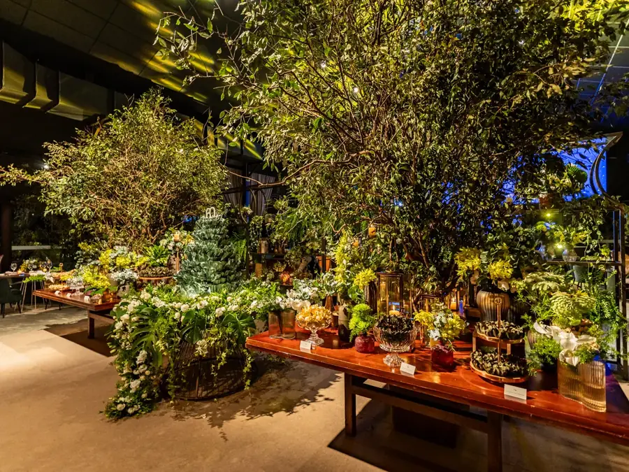 Location de plantes vertes événementielles