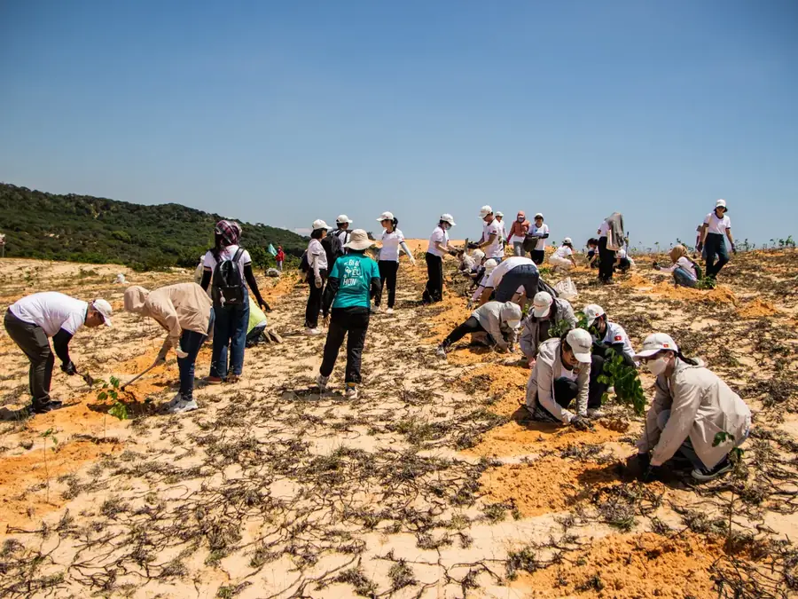 Team building solidaire : plantation, collecte, course