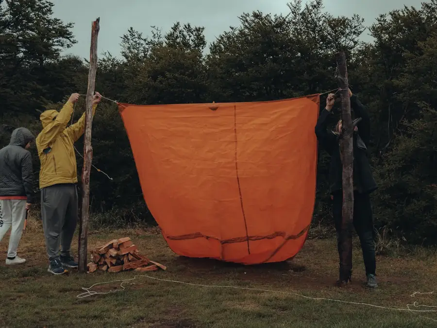 Team building : stage de survie en forêt